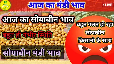 Aaj Ka Mandi Bhav मंडी भाव आज का सोयाबीन मंडी भाव Soyabean Bhav Mandibhav 8 फरवरी मंडी