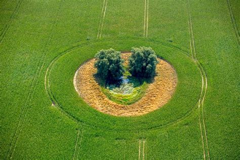 Duckow Von Oben Baum Insel Auf Einem Gr Nen Feld In Duckow Im