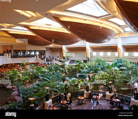 The lobby of the Grand Hyatt Dubai Stock Photo - Alamy