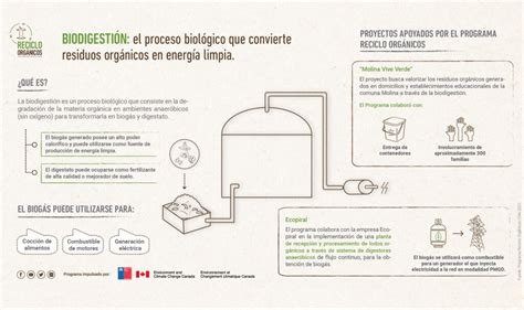 Qu Gas Se Obtiene Al Descomponerse Los Desechos Org Nicos