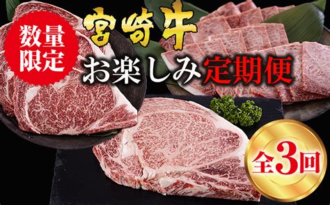 【3回定期便】 宮崎牛 ロースステーキ 600g 肩焼肉 400g ワンポンドステーキ 454g 冷凍 送料無料 国産 黒毛和牛 A5 A4