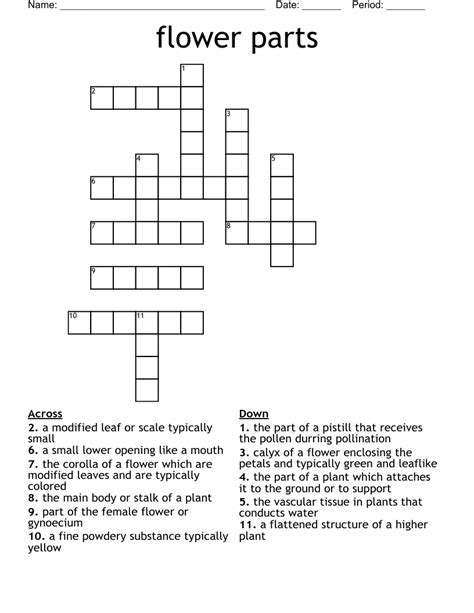 Parts Of A Flower Crossword