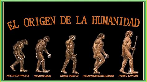 Linea De Tiempo Sobre El Proceso De Hominizacion El Sobre Importante