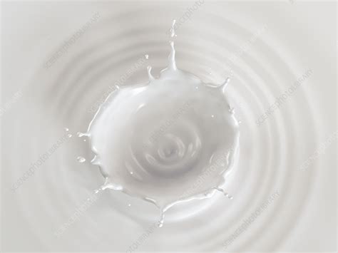 Milk Crown Splash With Ripples Illustration Stock Image F0240392