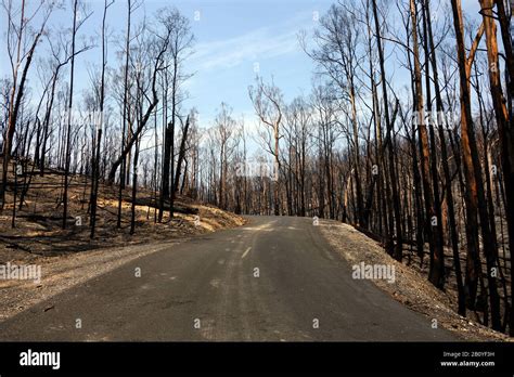 Conducir A Través De La Devastación Después De Los Incendios Forestales