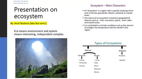 Ecosystem Presentation On Forests Grasslands Deserts And Aquatic Environments Ppt