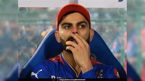 With Intriguing Virat Kohli Remark Swiggys Meme Trolling Royal