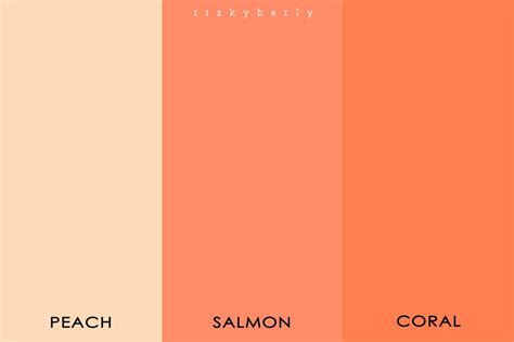 Warna Coral Peach Berkas Belajar