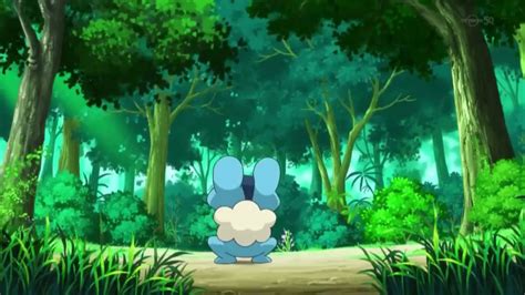 Pokemon Anime Forest