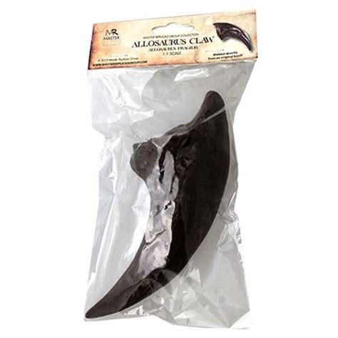 Allosaurus Toe Claw Educational Series Fossil Replica