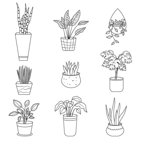 Pot Plant Drawing