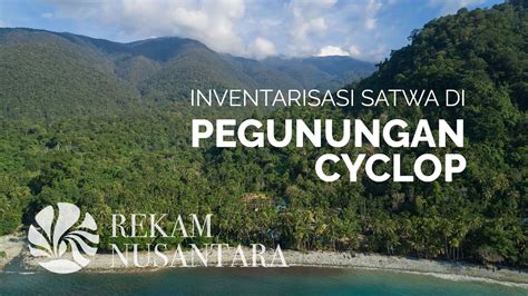 Ragam Fauna Di Cagar Alam Cycloop Diversity Of Fauna In Cyclop Nature