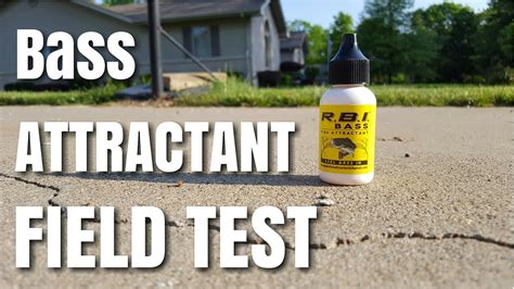 Bass Attractant Field Test Brushpile Bass Attractant Youtube