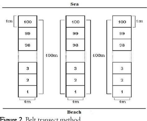 Figure 2 From Diversity Of Macroalgae Diversity In The Tidal Waters