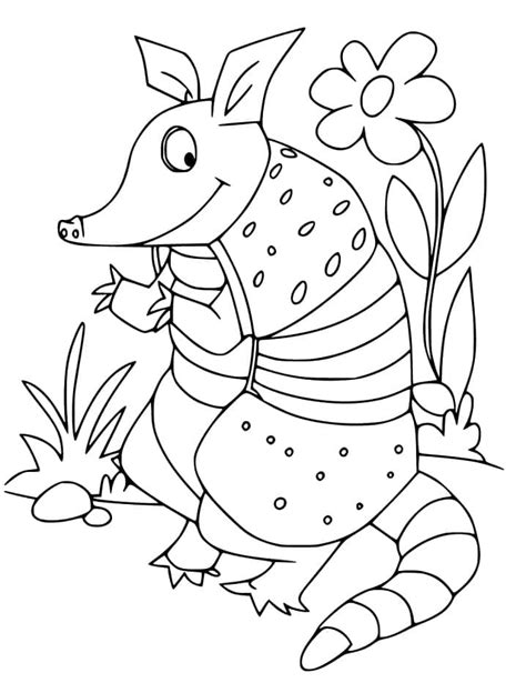 Dibujos De Armadillo De Dibujos Animados Para Colorear Para Colorear