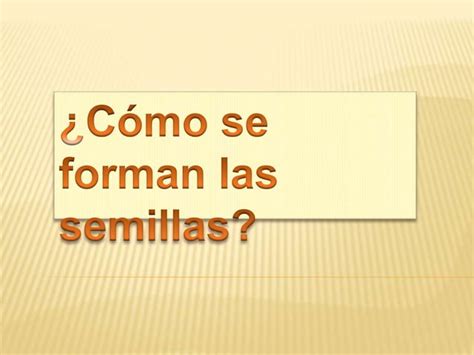 Cómo se forman las semillas PPT