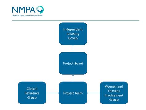 Introduction To The National Maternity And Perinatal Audit Ppt Download