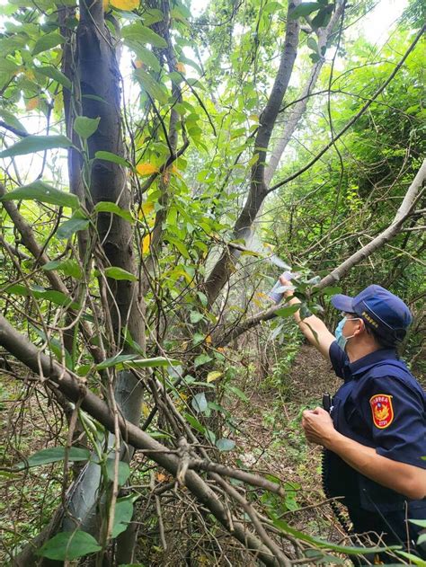 男子吊樹上發臭 警獲報未進命案現場 隔8小時消防派人抬下遺體 社會 自由時報電子報