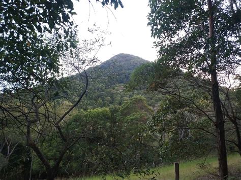 Cooroy Mountain - Climb, Bushwalking, Hike & Bike Trails Map, QLD