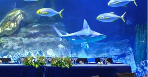 Oceanarium At Sea Life Melbourne Venue Hire At Venuenow