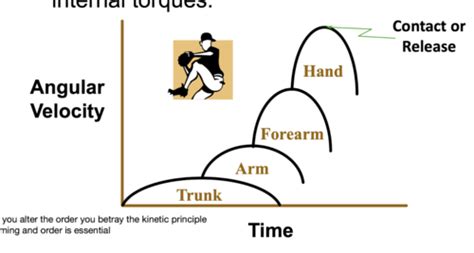 Biomechanics Chapter 6 Angular Motion In Sport Flashcards Quizlet