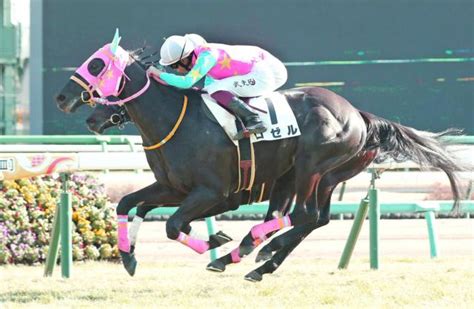 【中山5r・3歳未勝利】シルバーステート産駒ロゼルが差し切り 横山武史騎手「いい競馬をしてくれた」 競馬ニュース Netkeiba