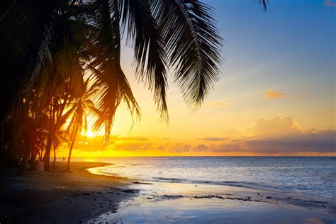 Playa Paraíso, Tabasco – Transporte de personal Guadalajara: Tu mejor ...