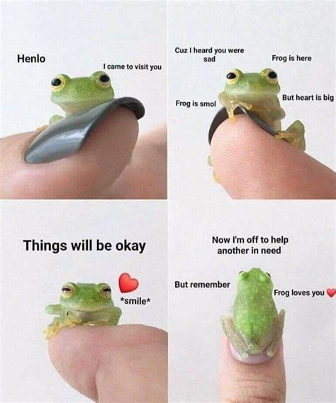 Respectful Memes On Instagram Mr Frog Is Here For You Cute Frogs