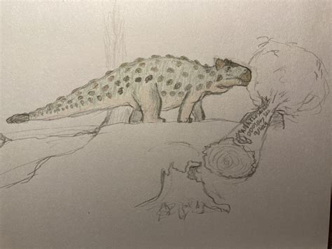 Daily Dinosaur Drawings: Day 322 (ankylosaurus) : r/Paleoart