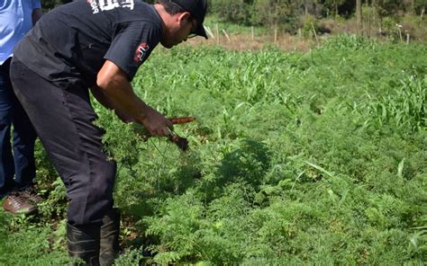 Câmara de Vereadores aprova projeto de incentivo à agricultura familiar