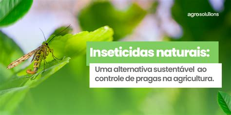 Agrosolutions Blog E Últimas Notícias Do Agro