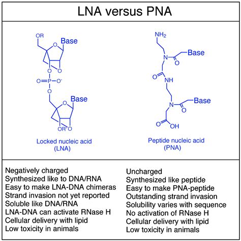 Locked Nucleic Acid Lna Fine Tuning The Recognition Of Dna And Rna