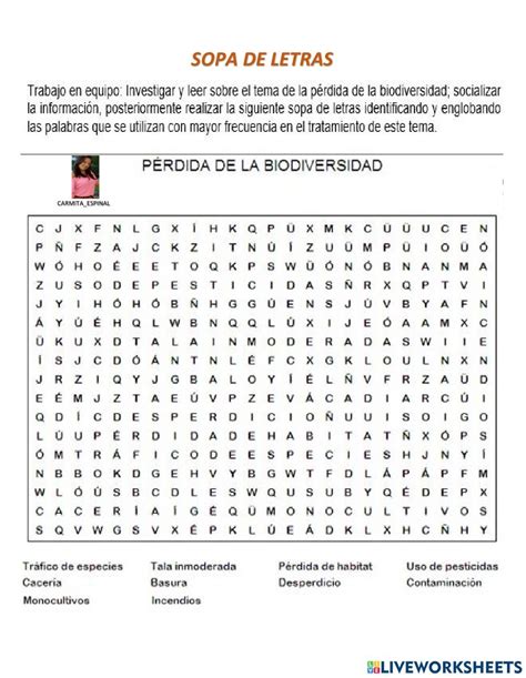 Sopa De Letras Online Exercise For Cuarto De Basica Words Word