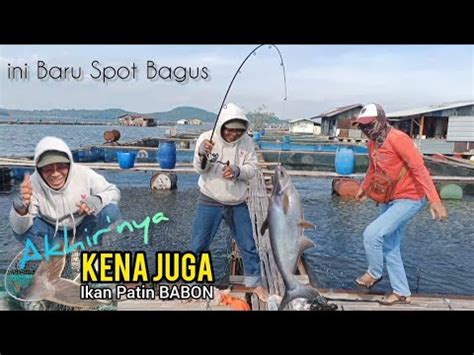 JUARA MANCING IKAN PATIN BABON ABANG KITA DARI CIBARUSA MENCOBA SPOT