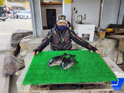 磯釣りでグレ40㎝まで2枚・ゲット！ 一栄丸渡船｜三重県紀北町