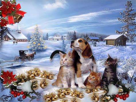 Chats De Noel