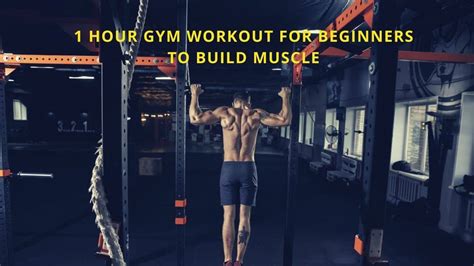 Beginner's 1 Hour Gym Workout Plan to Build Muscle W/ PDF