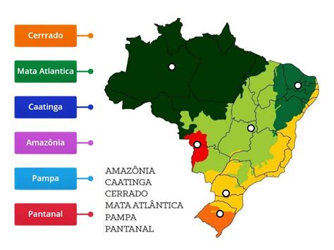 Biomas Do Brasil Eja Conde Labelled Diagram