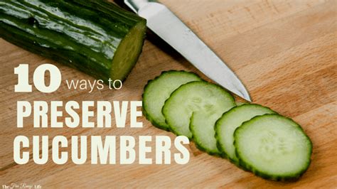 10 Delicious Ways To Preserve Cucumbers That Every Home Gardener Should