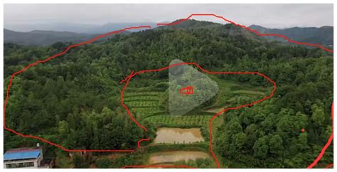 风水案例 曾国藩祖坟青龙山祖坟曾国藩新浪新闻