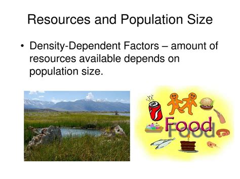 Ppt Chapter 15 Populations Powerpoint Presentation Free Download Id 5349233