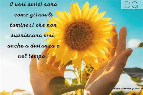 Frasi sul girasole il fiore più solare di tutti