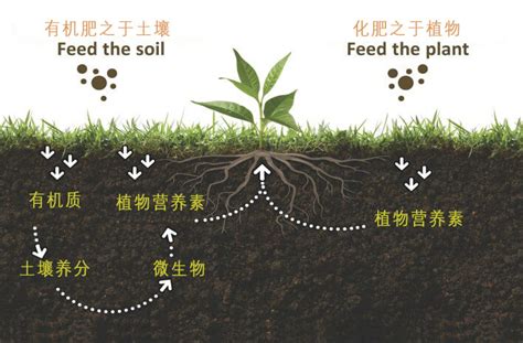 什么是有机肥，有机肥和化肥有什么区别，国家为什么鼓励有机肥？ 四川有机肥