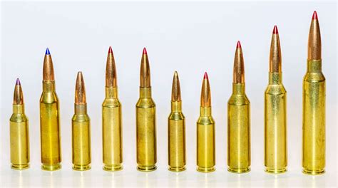 Evolution of the Precision-Rifle Cartridge | An Official Journal Of The NRA