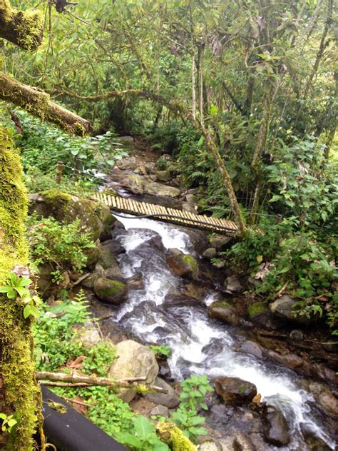 Santa Rosa de Cabal Thermal Hot Springs Day Tour | BnB Colombia Tours