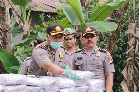 Polisi Kantongi Identitas Penyewa Gudang Penyimpanan Jutaan Pil Carnophen