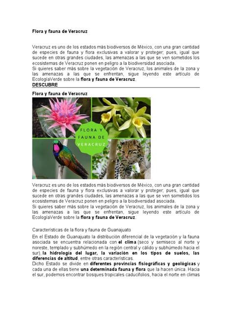 Flora y Fauna de Veracruz | PDF | Venado de cola blanca | Lince