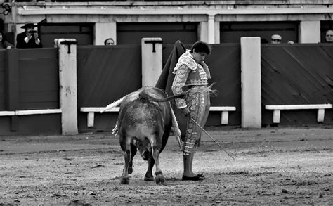 Galer A Revive Con Las Mejores Im Genes En Blanco Y Negro La Corrida