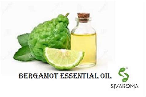 Citrus Bergamia Bergamot Essential Oil For Aromatherapy 100 Pure At