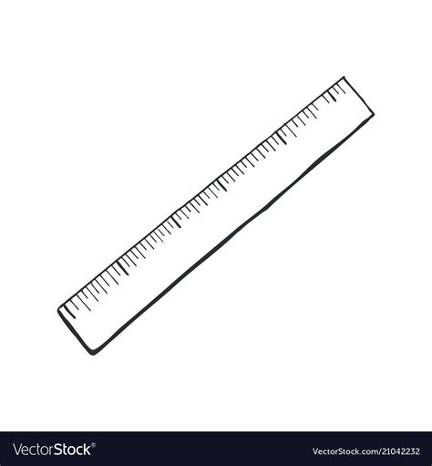 Ruler sketch isolated Royalty Free Vector Image | Ruler, Vector images, Vector free